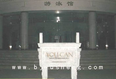 3米2008年奥运会国家游泳馆工程0616